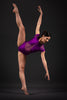 Tudor Leotard - Patrick J Design.com, dance wear, costum costumes, dance