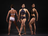 Versaille Leotard - Patrick J Design.com, dance wear, costum costumes, dance